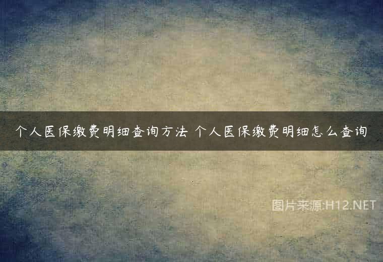 个人医保缴费明细查询方法 个人医保缴费明细怎么查询