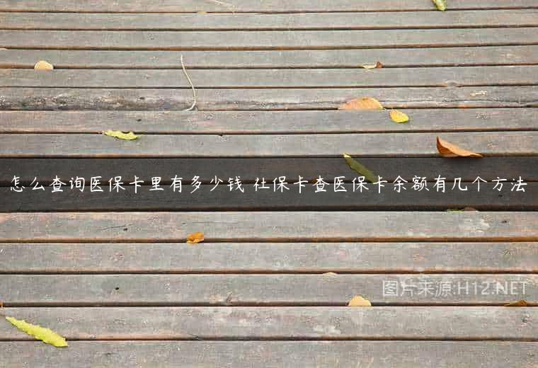 怎么查询医保卡里有多少钱 社保卡查医保卡余额有几个方法