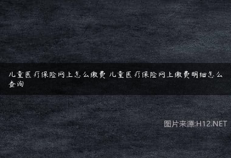 儿童医疗保险网上怎么缴费 儿童医疗保险网上缴费明细怎么查询