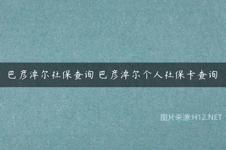 巴彦淖尔社保查询 巴彦淖尔个人社保卡查询
