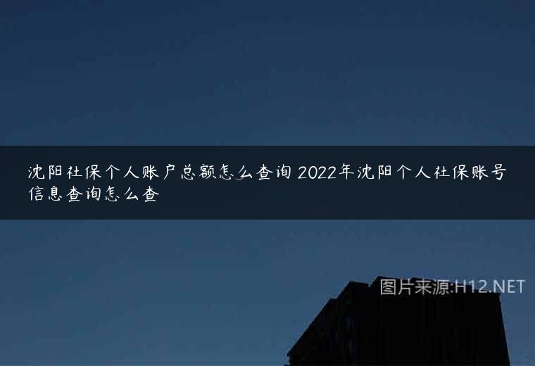 沈阳社保个人账户总额怎么查询 2022年沈阳个人社保账号信息查询怎么查