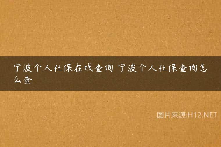 宁波个人社保在线查询 宁波个人社保查询怎么查