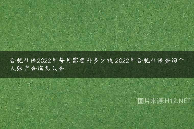 合肥社保2022年每月需要补多少钱 2022年合肥社保查询个人账户查询怎么查