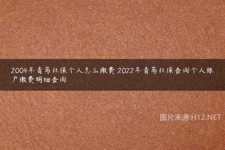 2004年青岛社保个人怎么缴费 2022年青岛社保查询个人账户缴费明细查询