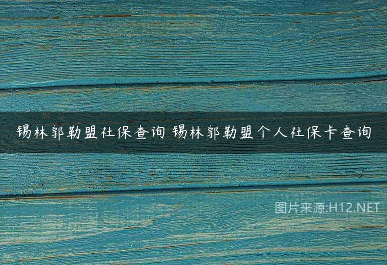 锡林郭勒盟社保查询 锡林郭勒盟个人社保卡查询
