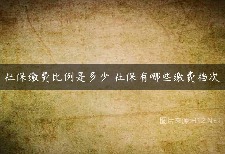 社保缴费比例是多少 社保有哪些缴费档次