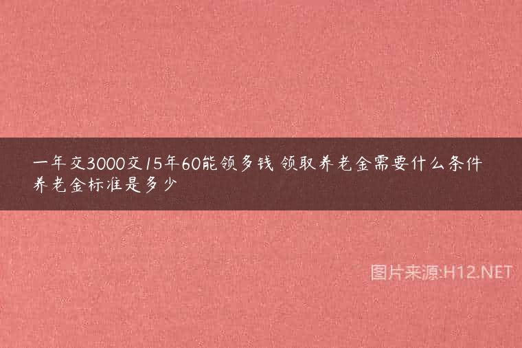 一年交3000交15年60能领多钱 领取养老金需要什么条件 养老金标准是多少