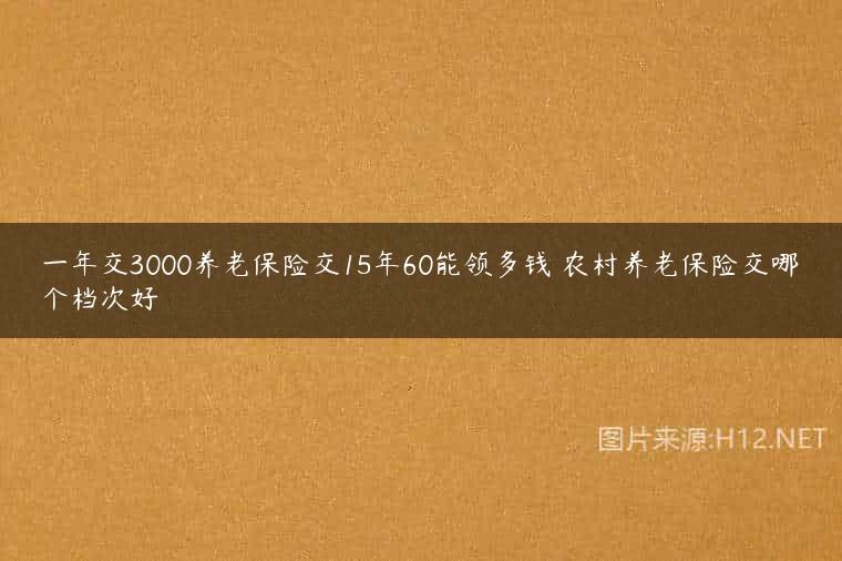 一年交3000养老保险交15年60能领多钱 农村养老保险交哪个档次好