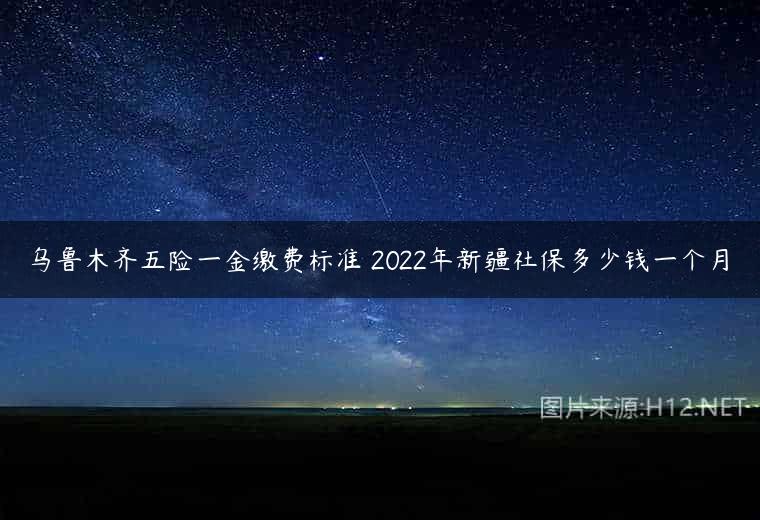 乌鲁木齐五险一金缴费标准 2022年新疆社保多少钱一个月