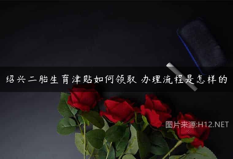 绍兴二胎生育津贴如何领取 办理流程是怎样的