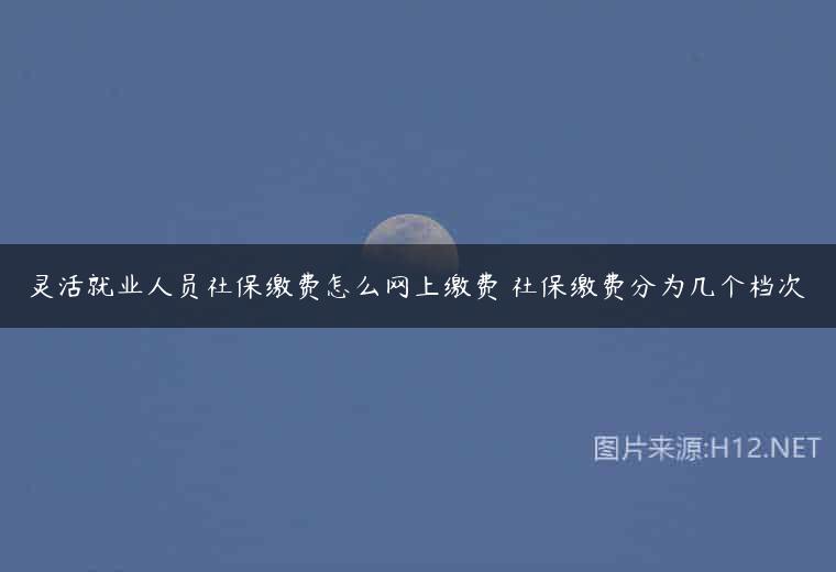 灵活就业人员社保缴费怎么网上缴费 社保缴费分为几个档次