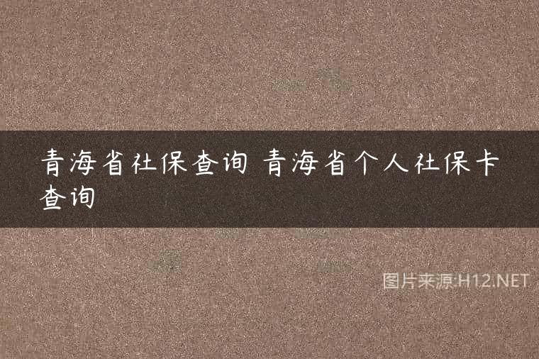 青海省社保查询 青海省个人社保卡查询