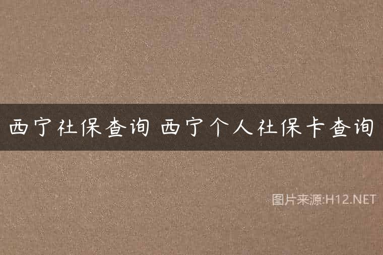 西宁社保查询 西宁个人社保卡查询