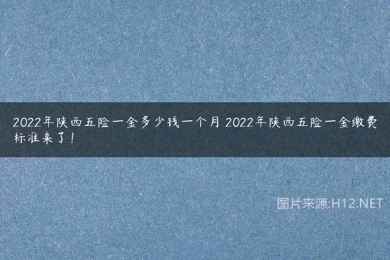 2022年陕西五险一金多少钱一个月 2022年陕西五险一金缴费标准来了！