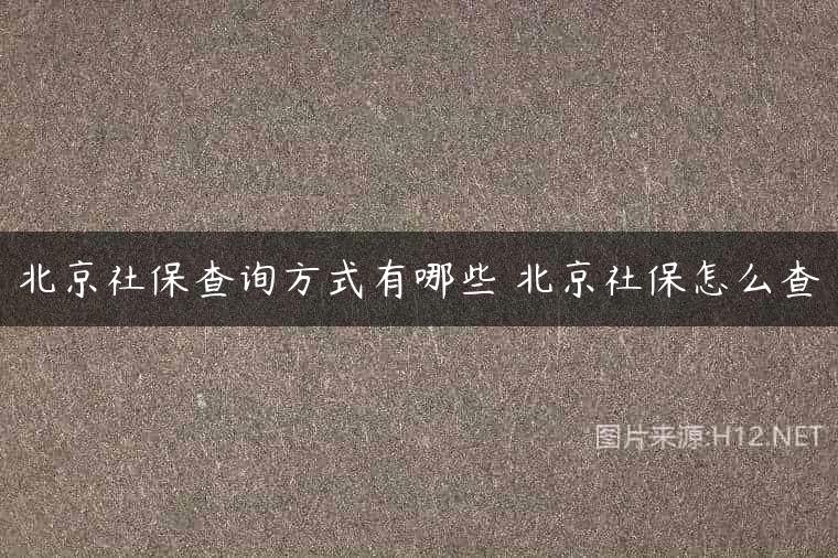 北京社保查询方式有哪些 北京社保怎么查