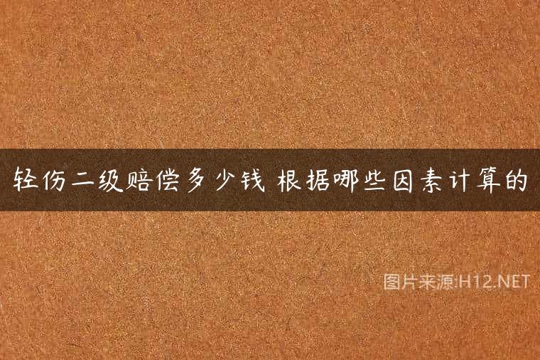 轻伤二级赔偿多少钱 根据哪些因素计算的