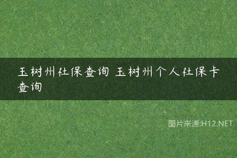 玉树州社保查询 玉树州个人社保卡查询