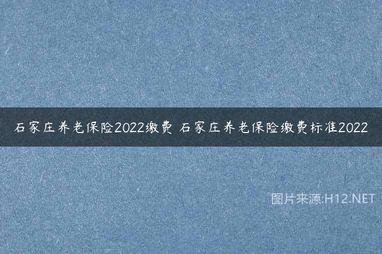 石家庄养老保险2022缴费 石家庄养老保险缴费标准2022