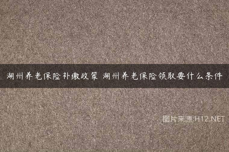 湖州养老保险补缴政策 湖州养老保险领取要什么条件