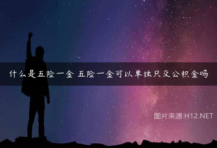 什么是五险一金 五险一金可以单独只交公积金吗