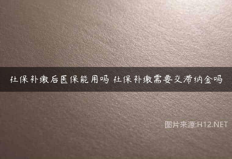 社保补缴后医保能用吗 社保补缴需要交滞纳金吗