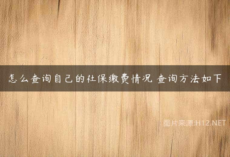 怎么查询自己的社保缴费情况 查询方法如下