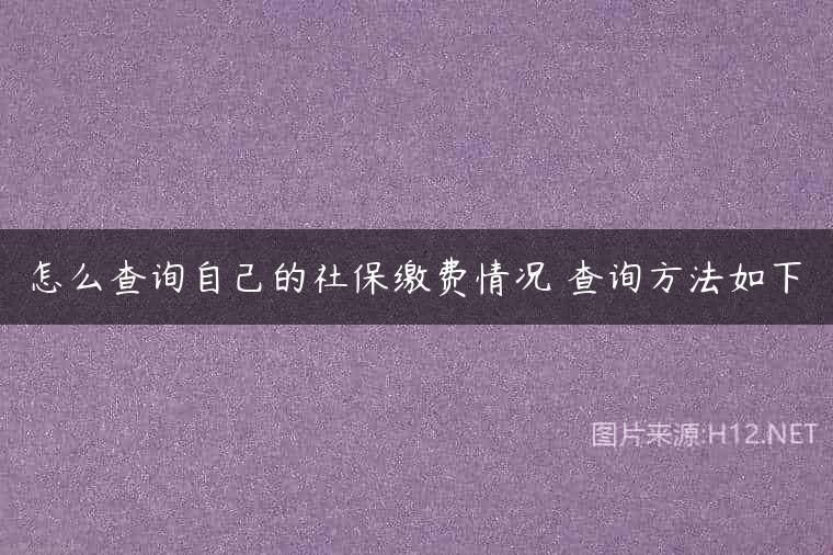 怎么查询自己的社保缴费情况 查询方法如下