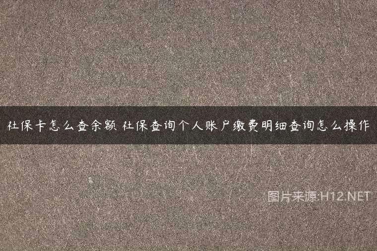 社保卡怎么查余额 社保查询个人账户缴费明细查询怎么操作
