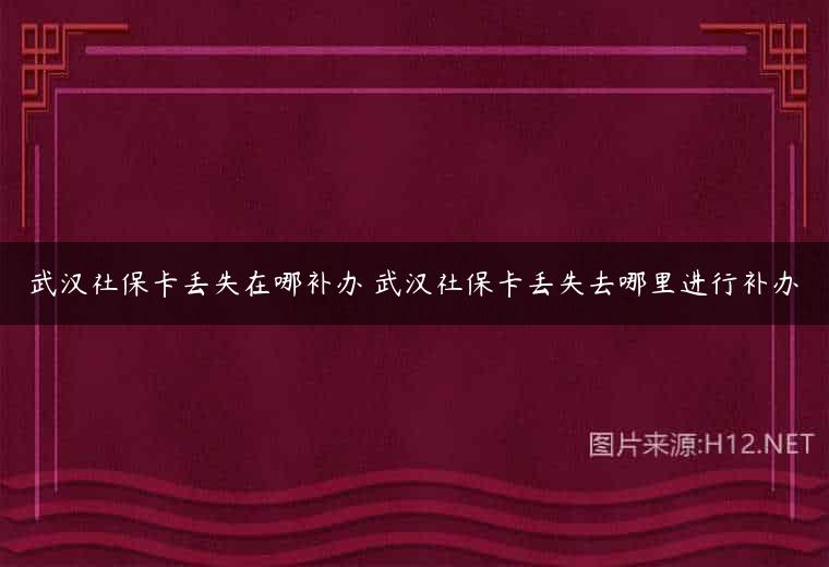 武汉社保卡丢失在哪补办 武汉社保卡丢失去哪里进行补办