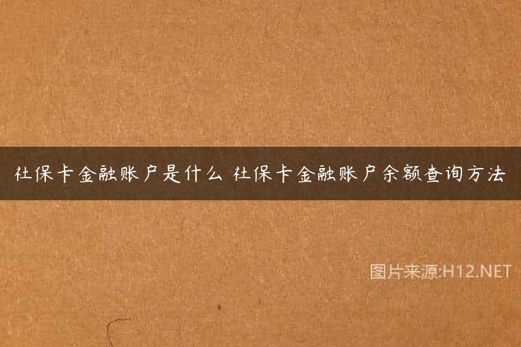 社保卡金融账户是什么 社保卡金融账户余额查询方法