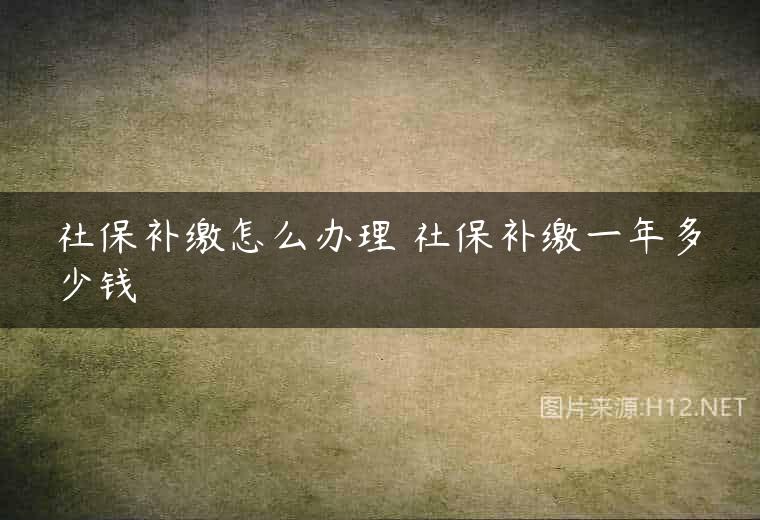 社保补缴怎么办理 社保补缴一年多少钱