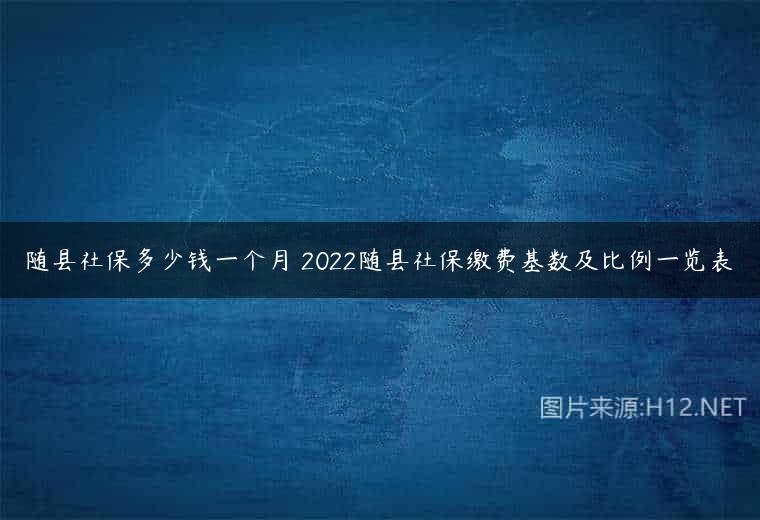 随县社保多少钱一个月 2022随县社保缴费基数及比例一览表