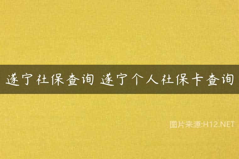 遂宁社保查询 遂宁个人社保卡查询