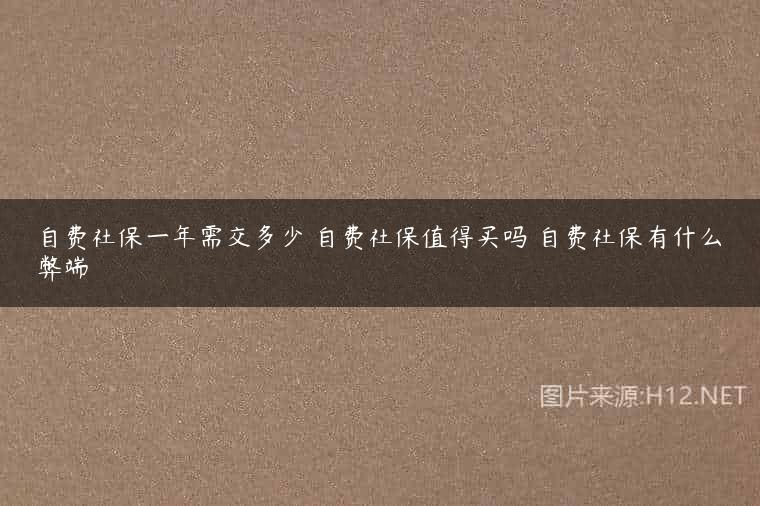 自费社保一年需交多少 自费社保值得买吗 自费社保有什么弊端