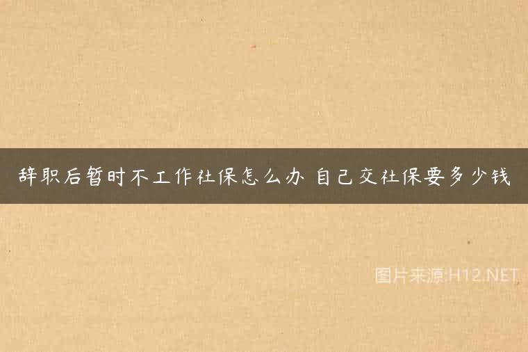 辞职后暂时不工作社保怎么办 自己交社保要多少钱