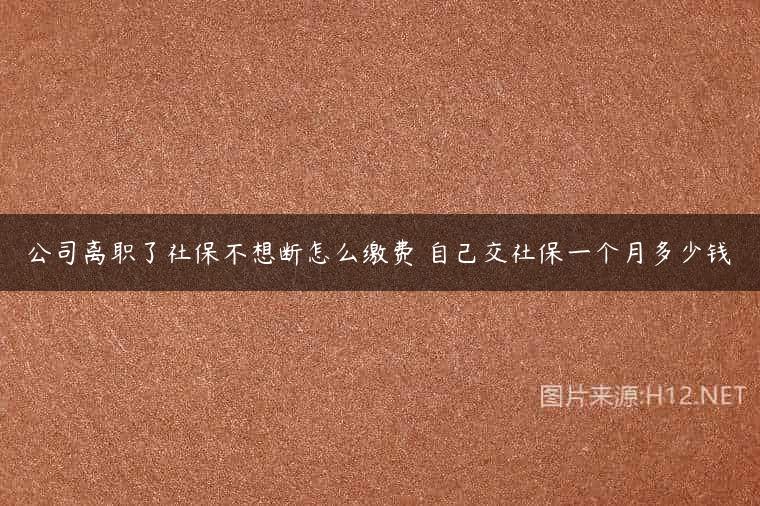 公司离职了社保不想断怎么缴费 自己交社保一个月多少钱