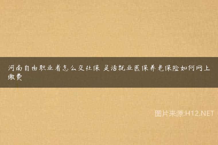 河南自由职业者怎么交社保 灵活就业医保养老保险如何网上缴费