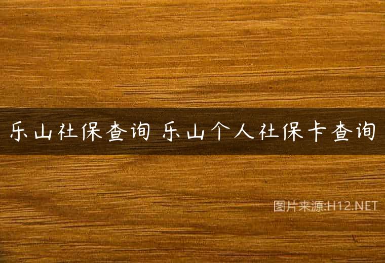 乐山社保查询 乐山个人社保卡查询