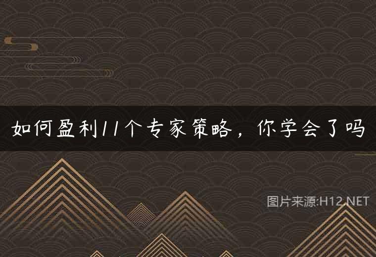 如何盈利11个专家策略，你学会了吗