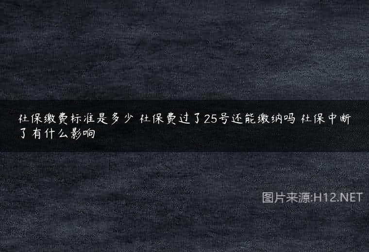 社保缴费标准是多少 社保费过了25号还能缴纳吗 社保中断了有什么影响