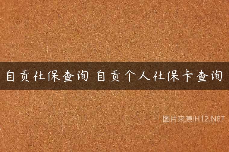 自贡社保查询 自贡个人社保卡查询
