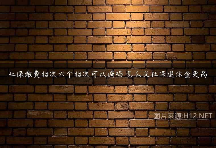 社保缴费档次六个档次可以调吗 怎么交社保退休金更高