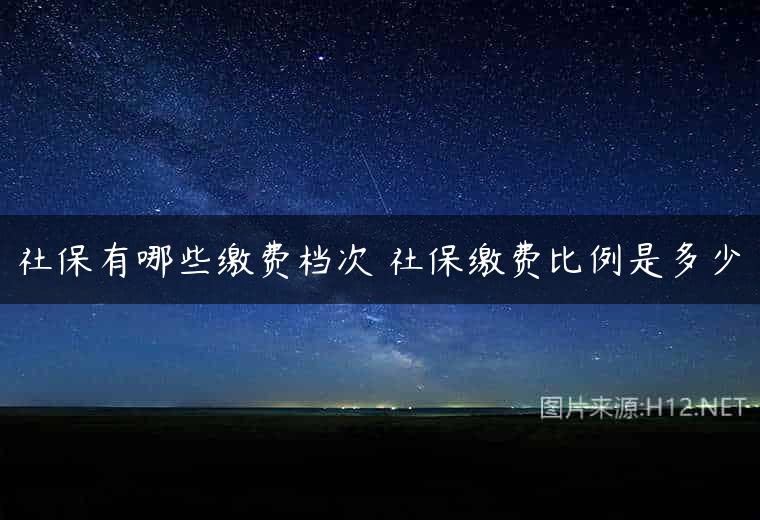社保有哪些缴费档次 社保缴费比例是多少