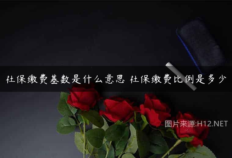 社保缴费基数是什么意思 社保缴费比例是多少