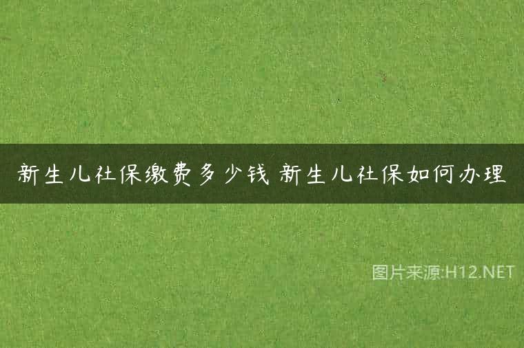 新生儿社保缴费多少钱 新生儿社保如何办理