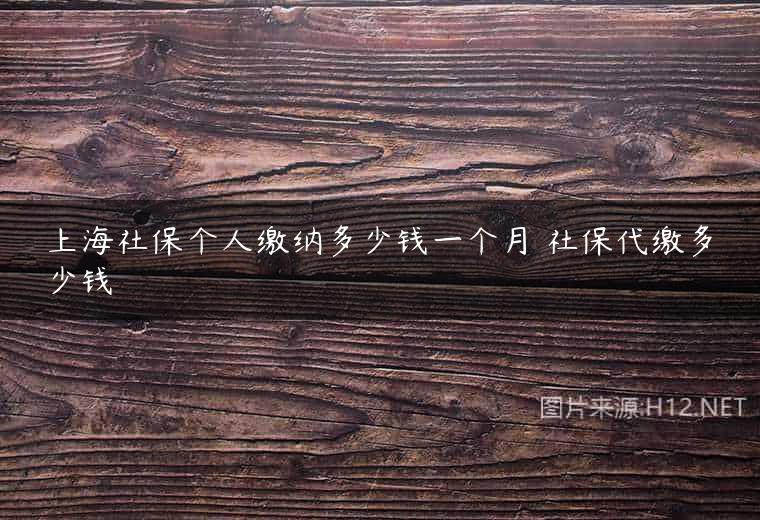 上海社保个人缴纳多少钱一个月 社保代缴多少钱