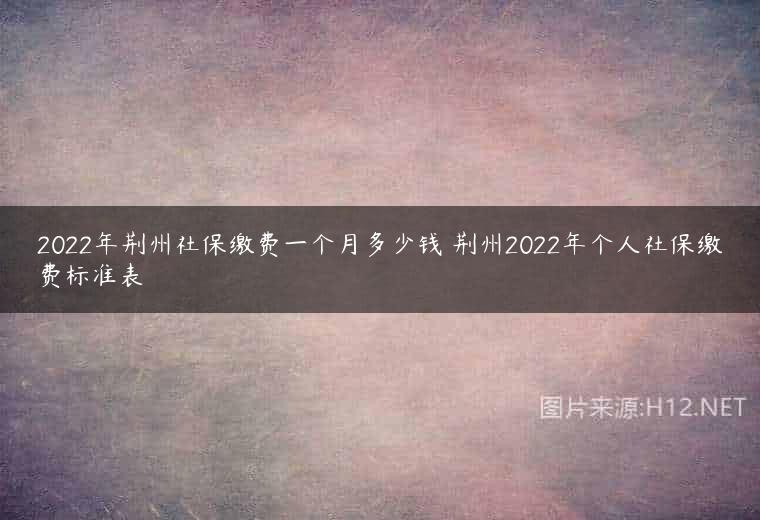 2022年荆州社保缴费一个月多少钱 荆州2022年个人社保缴费标准表