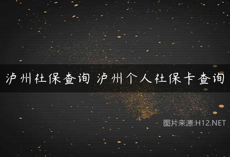 泸州社保查询 泸州个人社保卡查询