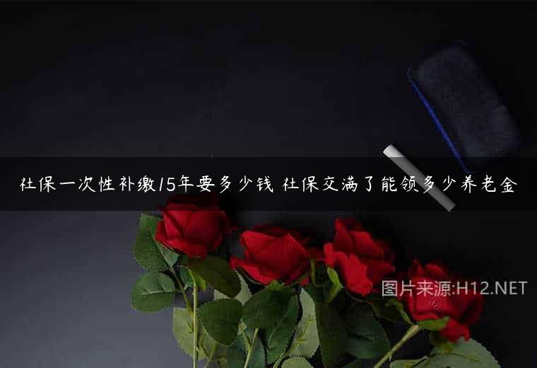 社保一次性补缴15年要多少钱 社保交满了能领多少养老金
