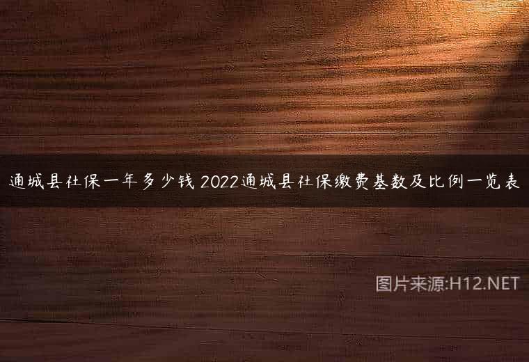 通城县社保一年多少钱 2022通城县社保缴费基数及比例一览表